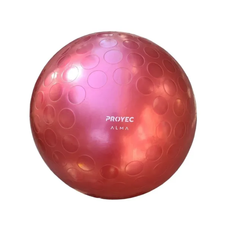 Pelota Esferodinamia Pilates 65 Cm Gmp - Fabricantes Proyec